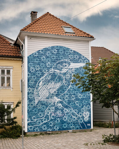 instagram spots in Bergen - Bergen Bird Wall