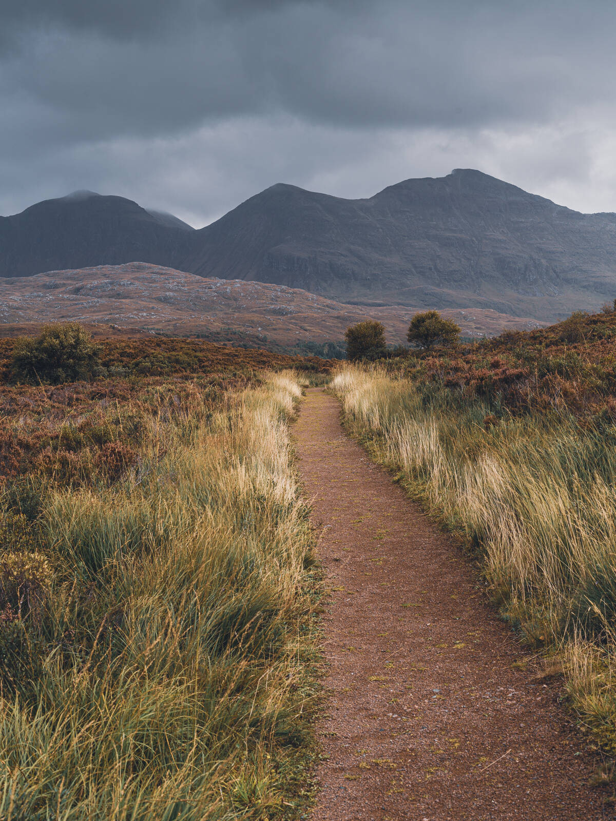 Image of Assynt all-abilities walk by James Billings.