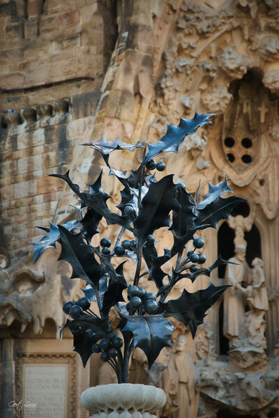 photos of Spain - Sagrada Familia - Exterior