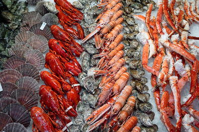 photos of Norway - Bergen Fish Market