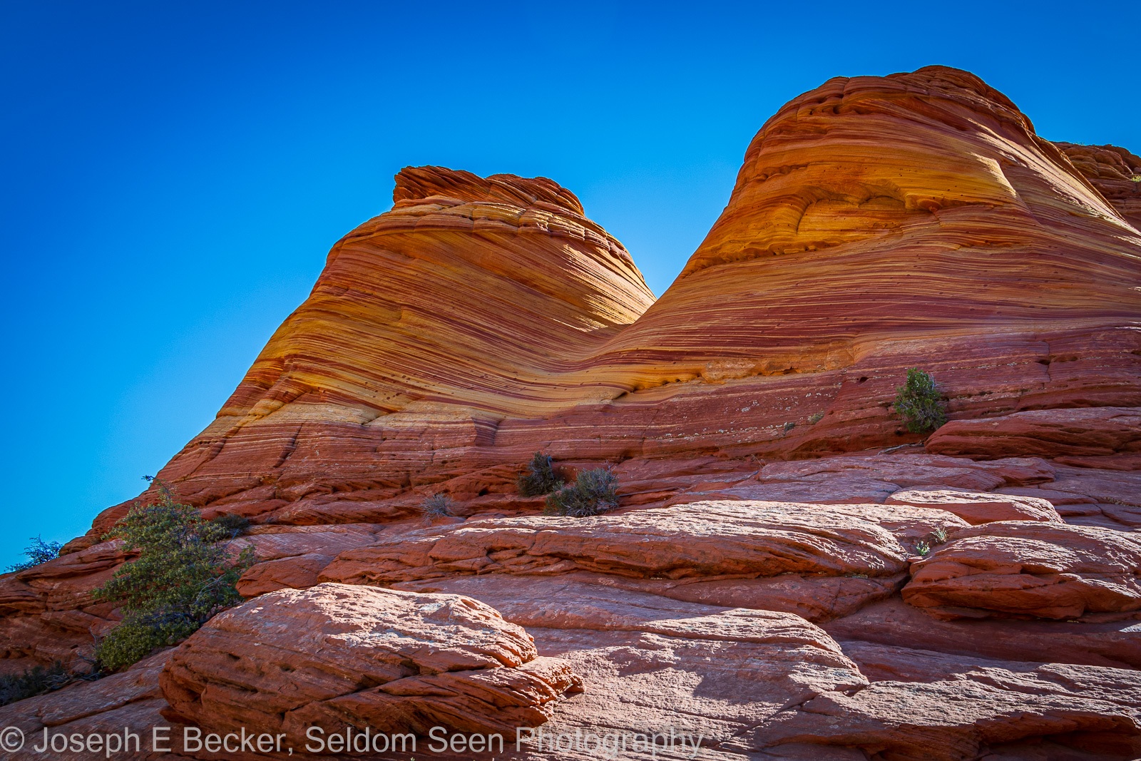 Image of Coyote Butte North - Ginger Rock by Joe Becker