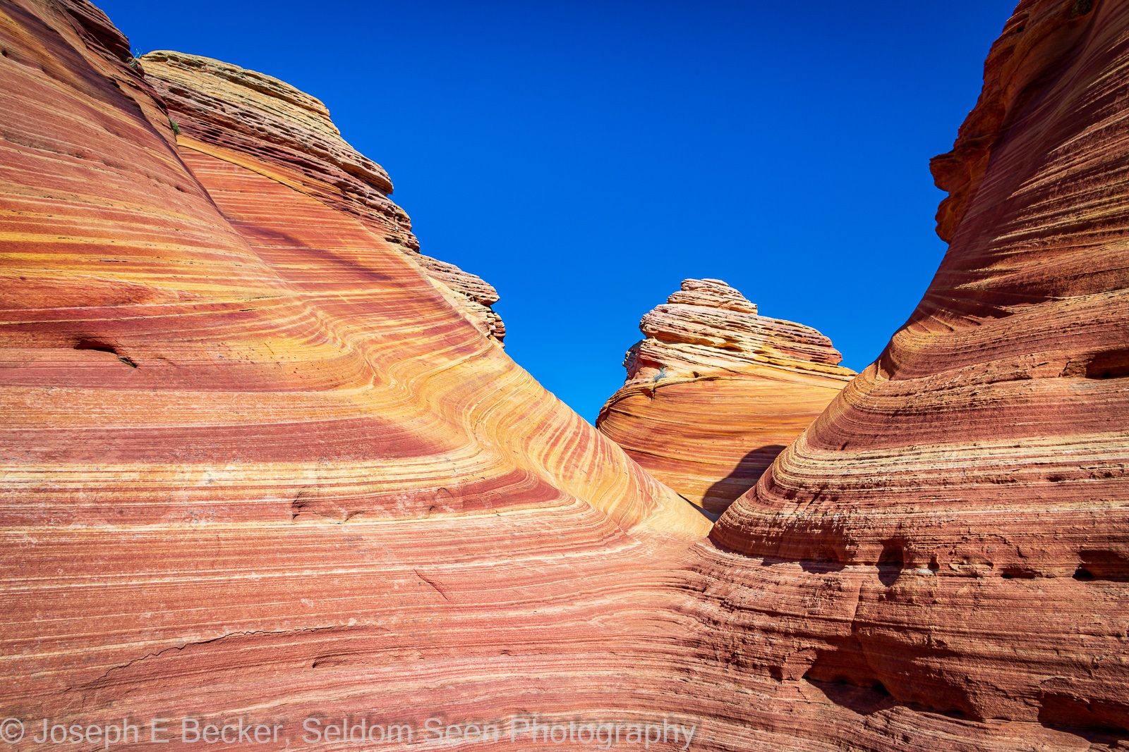 Image of Coyote Butte North - Ginger Rock by Joe Becker