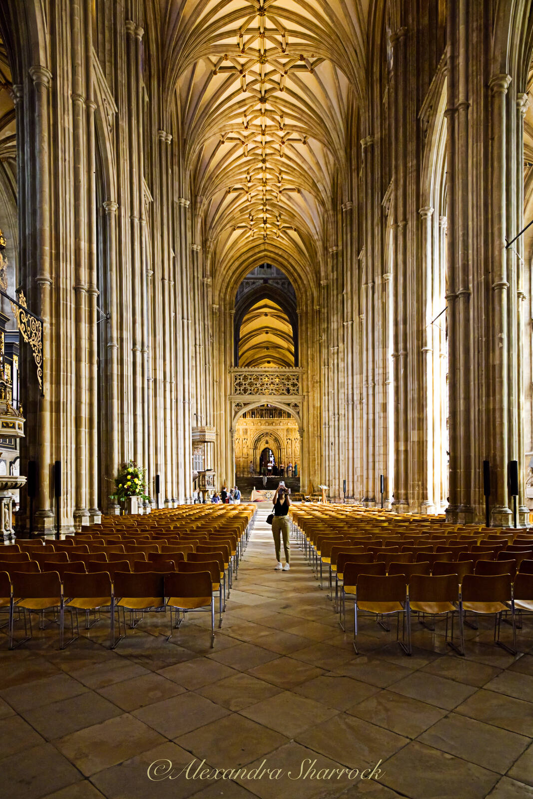 Image of Canterbury Cathedral - Interior by Alexandra Sharrock