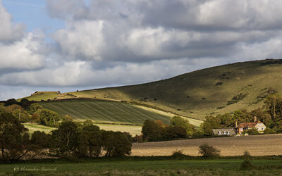 Picture of Alfriston village (South Downs NP) - Alfriston village (South Downs NP)