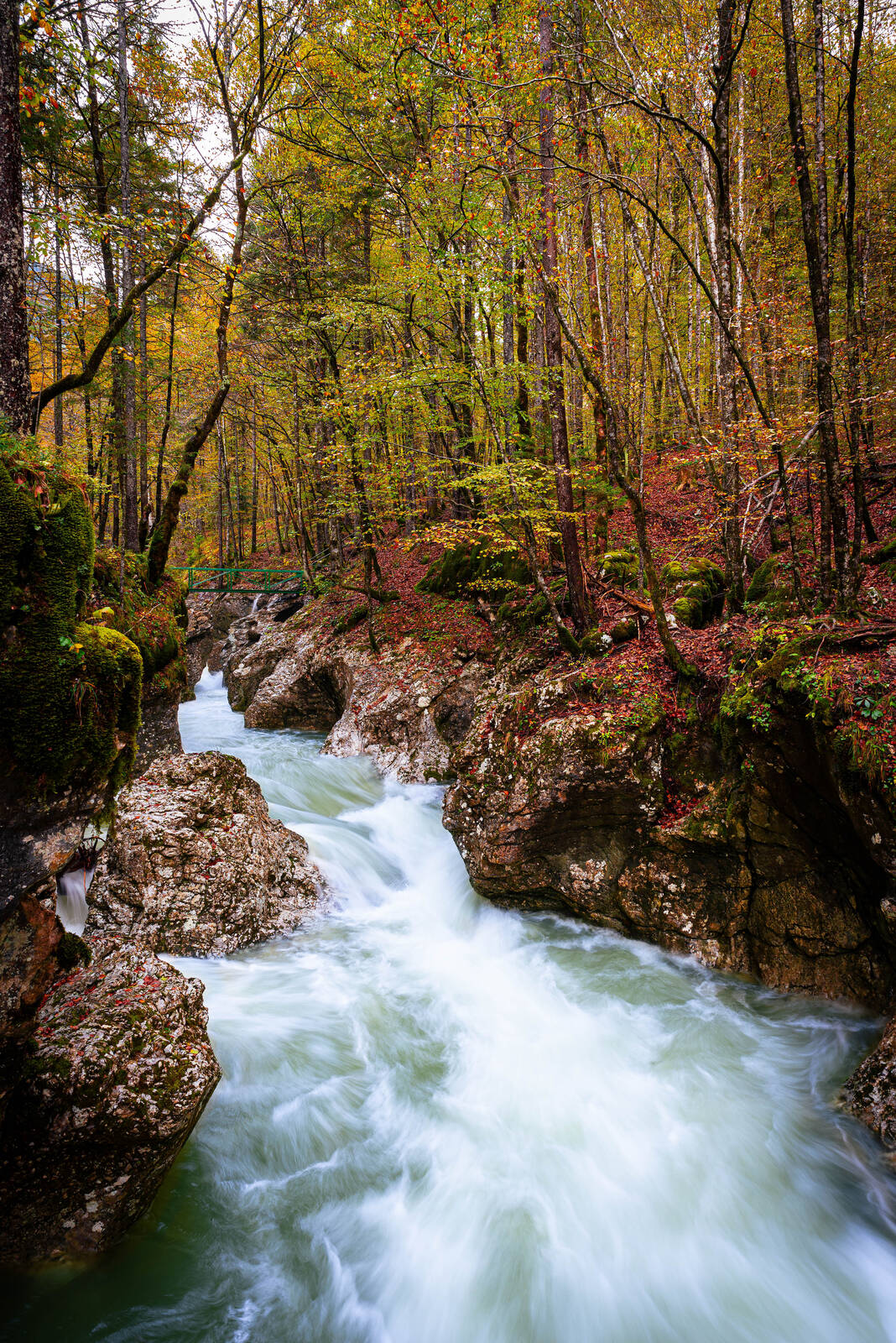 Image of Mostnica River by Nejc Žorž