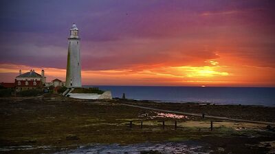 Image of St Mary's Lighthouse & Causeway - St Mary's Lighthouse & Causeway