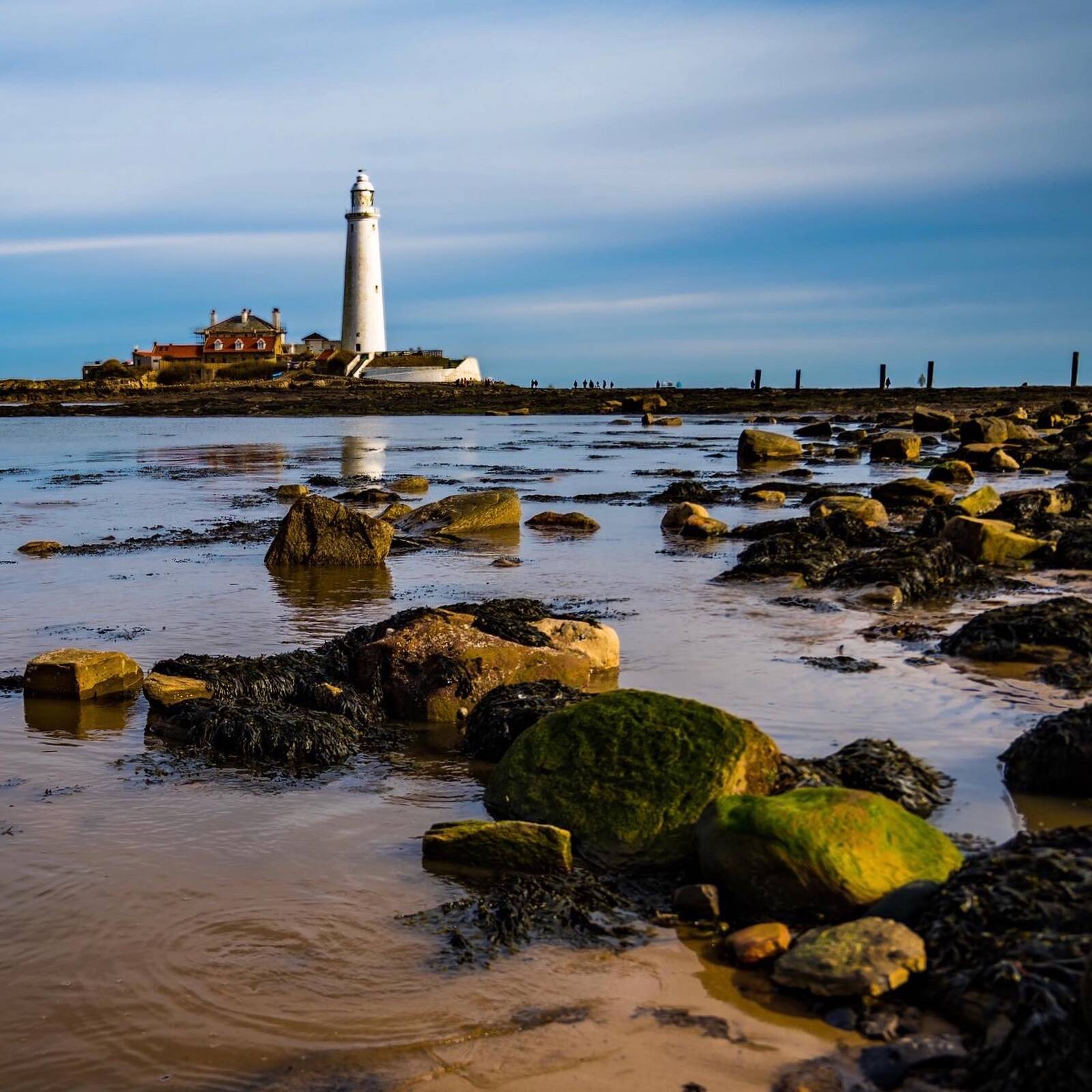 Image of St Mary\'s Lighthouse & Causeway by Peter Maxfield