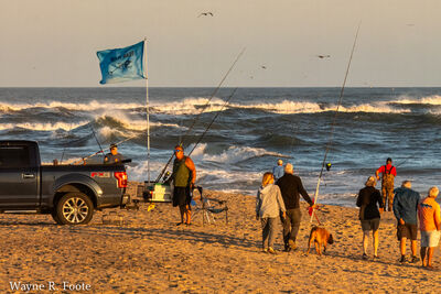 Surf fishing tournament during evening golden hour - Cape Point, Cape Hatteras National Seashore