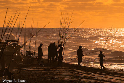 Surf fishing tournament during morning golden hour - Cape Point, Cape Hatteras National Seashore