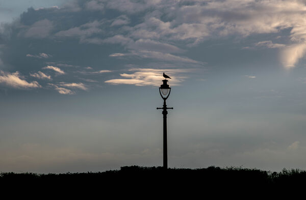 Brighton seafront lamp.