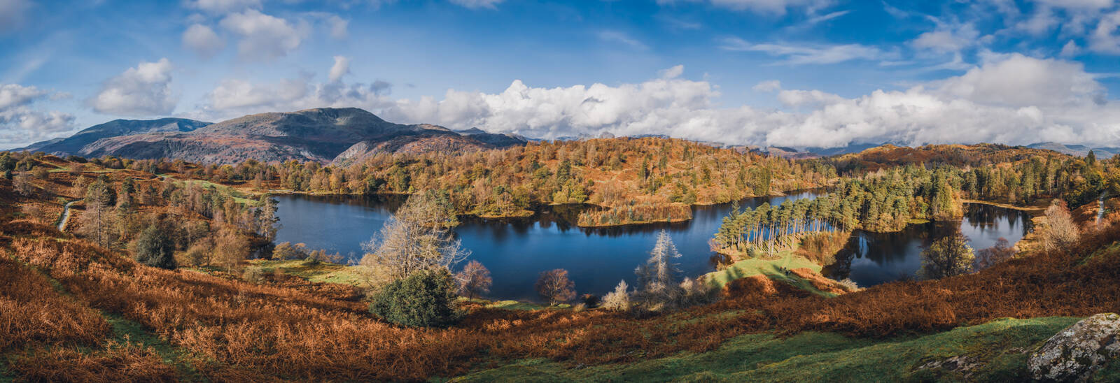 Image of Tarn Hows, Lake District by James Billings.