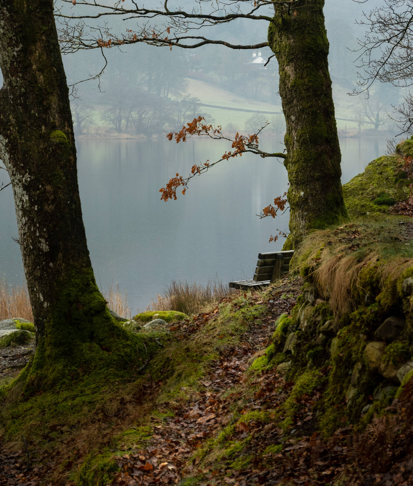 Image of Grasmere Lake by Paul Gaskell