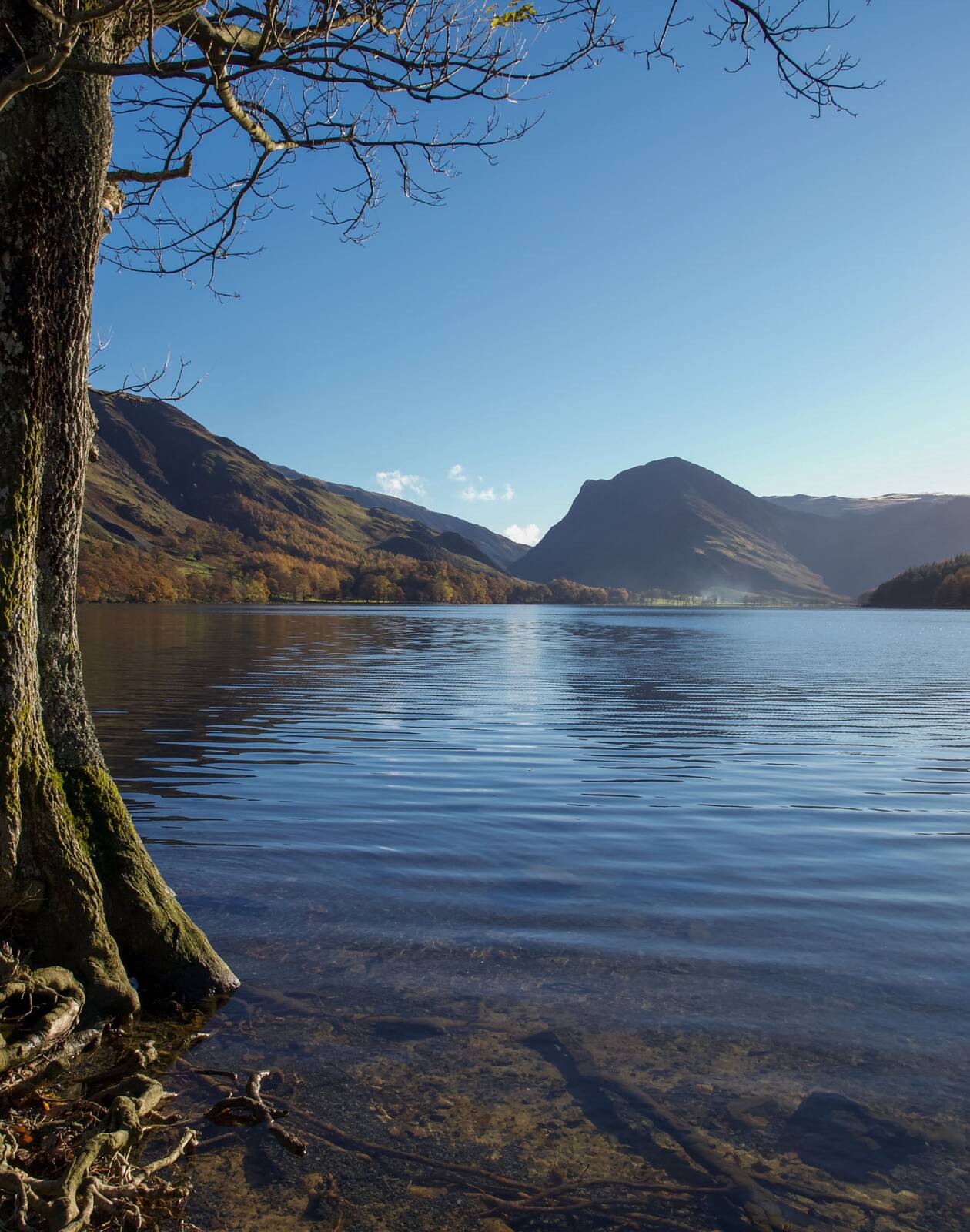 Image of Buttermere North Shoreline by Paul Gaskell