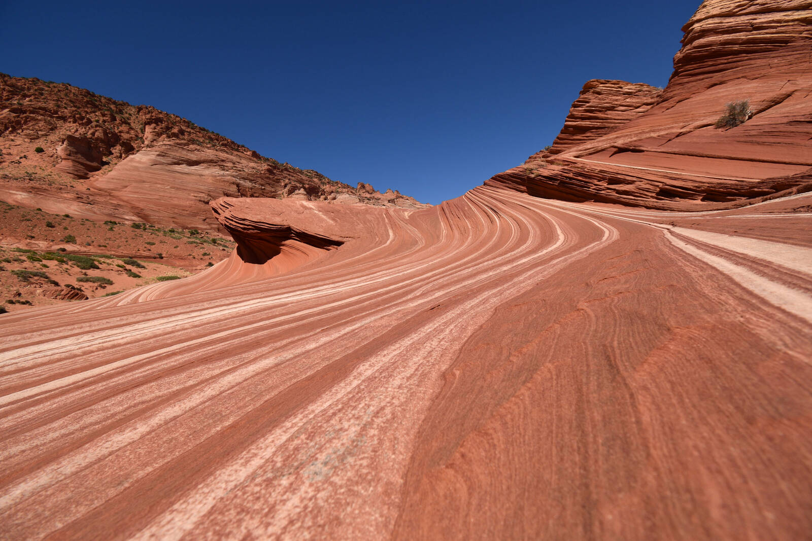 Image of Coyote Buttes North - Sand Cove Buttes by Rick Merrill