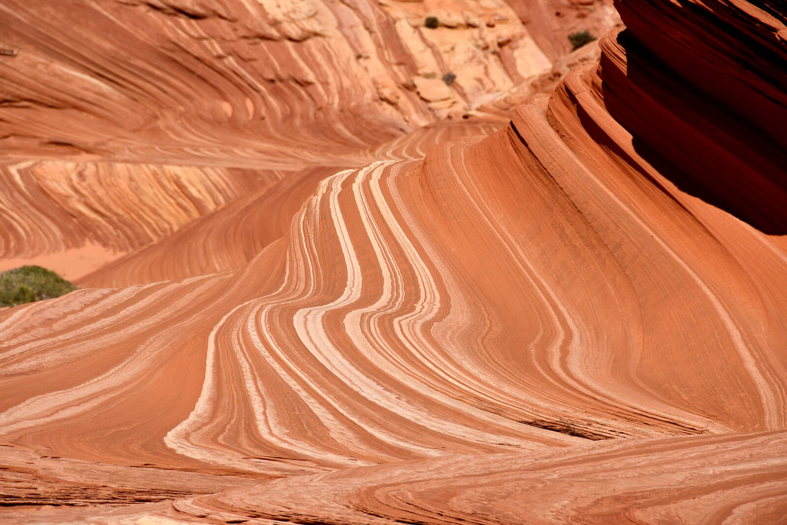 Image of Coyote Buttes North - Sand Cove Buttes by Rick Merrill