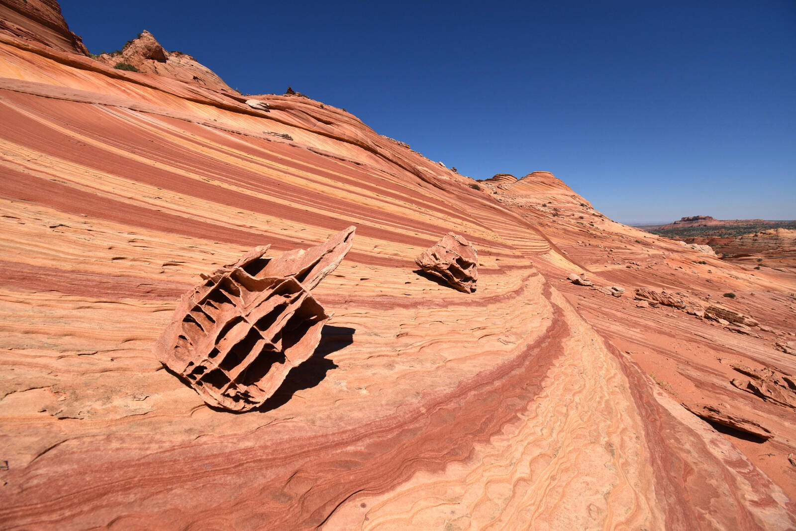 Image of Coyote Buttes North - The Boneyard by Rick Merrill