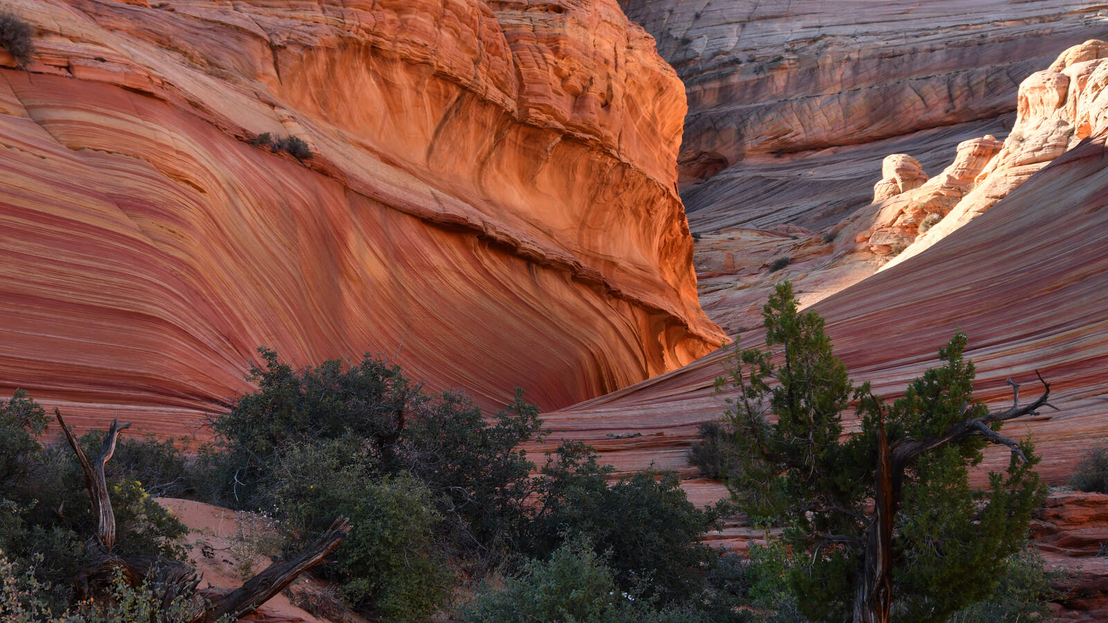 Image of Coyote Butte North - The Wave Main Entrance by Rick Merrill
