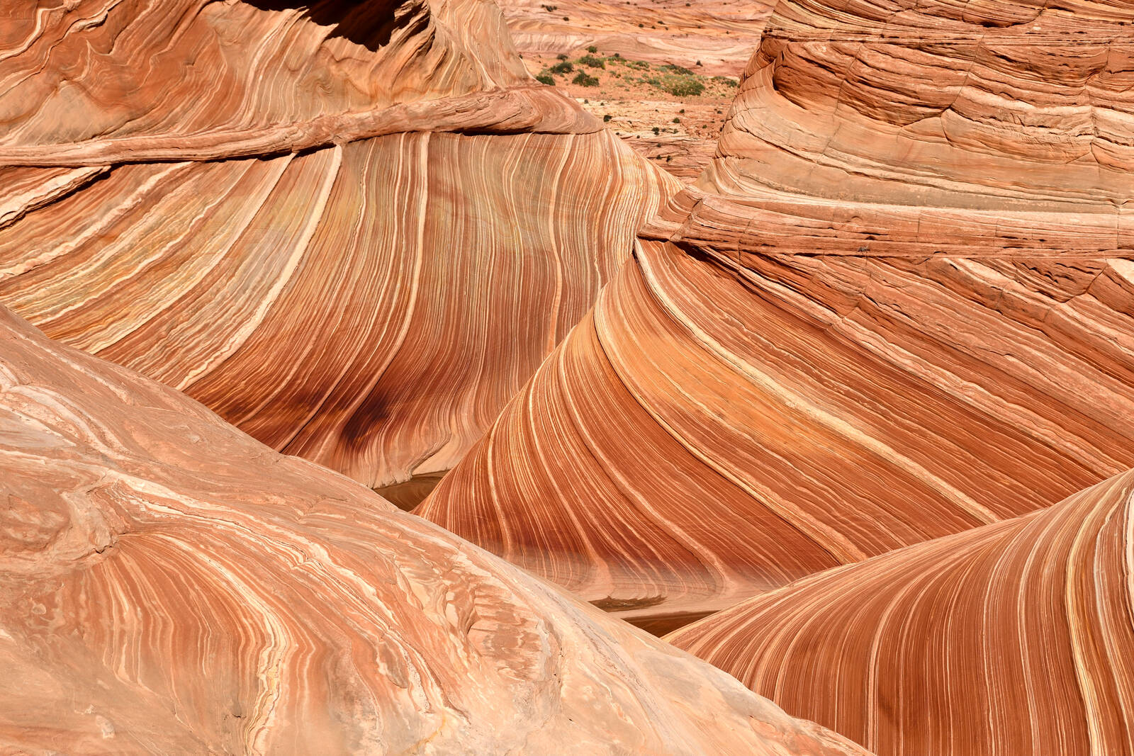 Image of Coyote Buttes North - Heart of the Wave by Rick Merrill