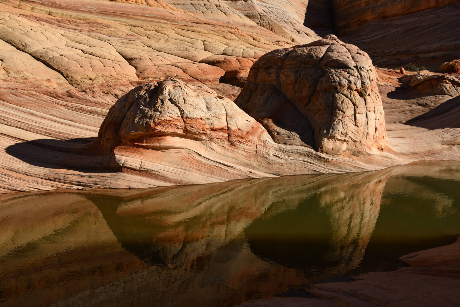 Image of Coyote Buttes North - Brainrocks & Waterpools by Rick Merrill