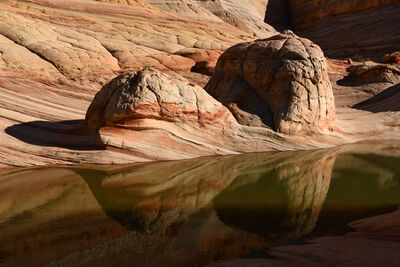 Picture of Coyote Buttes North - Brainrocks & Waterpools - Coyote Buttes North - Brainrocks & Waterpools
