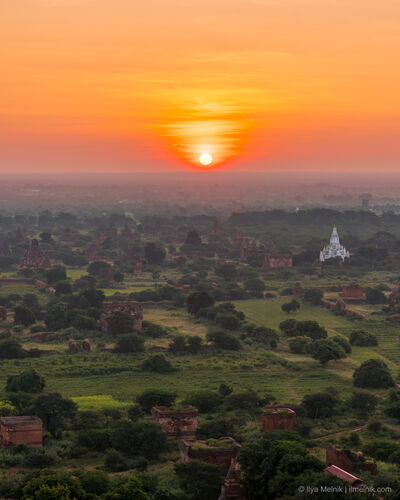 Image of Balloons over Bagan - Balloons over Bagan