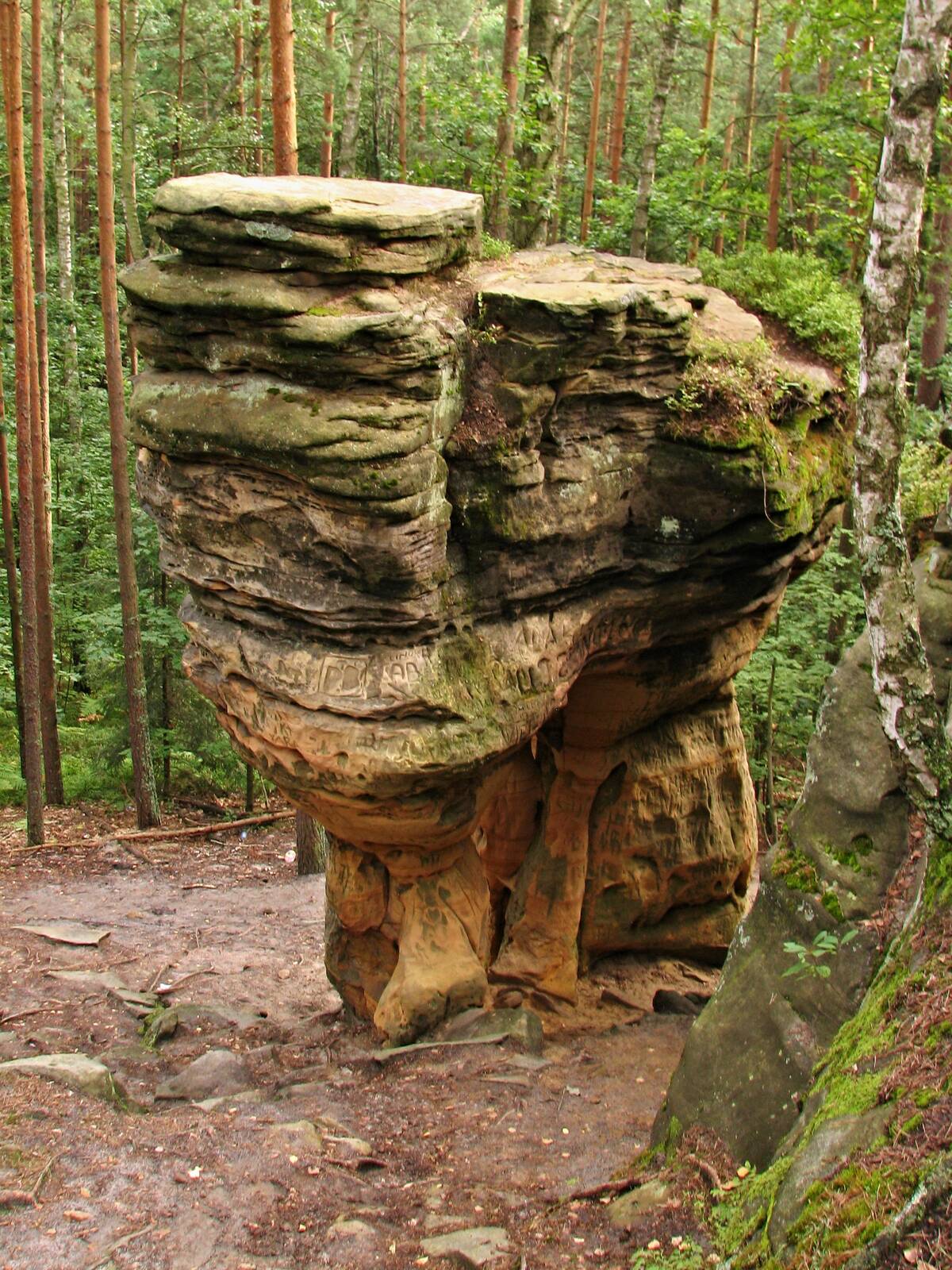 Image of Reserve Skałki Piekło pod Niekłaniem by Marek Piwowarczyk