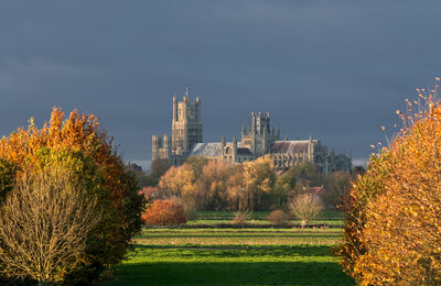 Autumnal view of Ely Cathedral in late afternoon light. This view is taken from the A142 Stuntney Causeway, and the trees are deliberately planted to create this view.