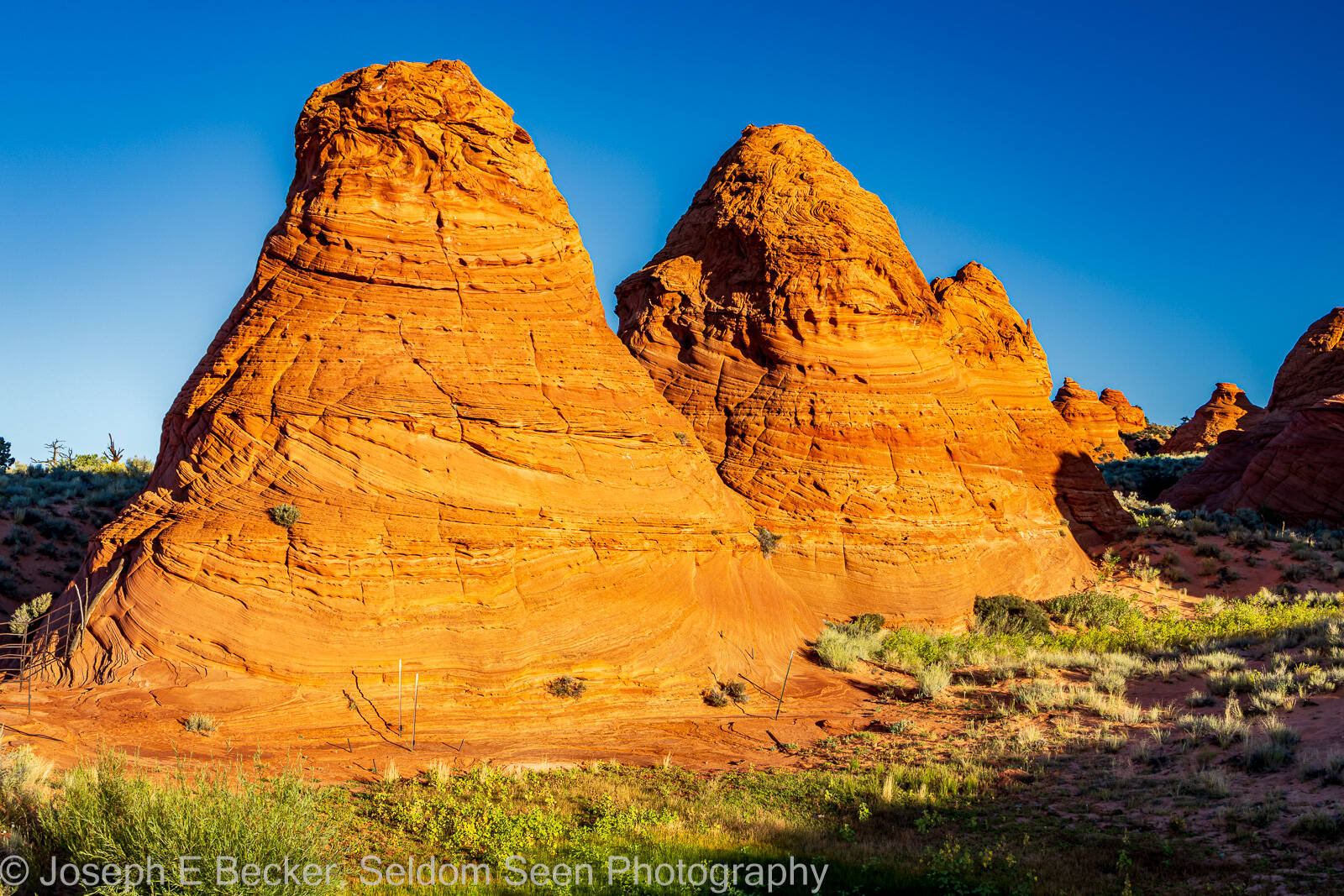 Image of South Coyote Buttes - Paw Hole Teepees by Joe Becker