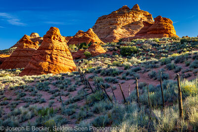 South Coyote Buttes - Paw Hole Teepees