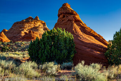 Image of South Coyote Buttes - Paw Hole Teepees - South Coyote Buttes - Paw Hole Teepees