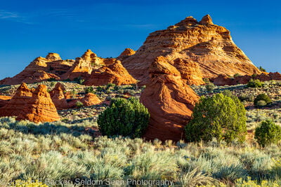Photo of South Coyote Buttes - Paw Hole Teepees - South Coyote Buttes - Paw Hole Teepees