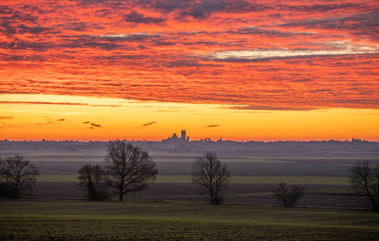 Image of Winter dawn over Ely Cathedral by Andrew Sharpe