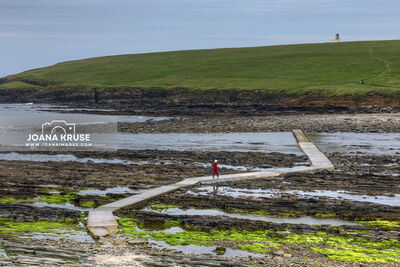 The tidal Island Brough of Birsay in Orkney, Scotland.