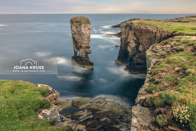 Yesnaby Castle is a famous two-legged sea stack near Sandwick on the Mainland in Orkney, Scotland.