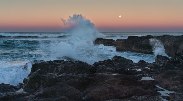 Along the 804 trail at sunrise. The moon of the king tide