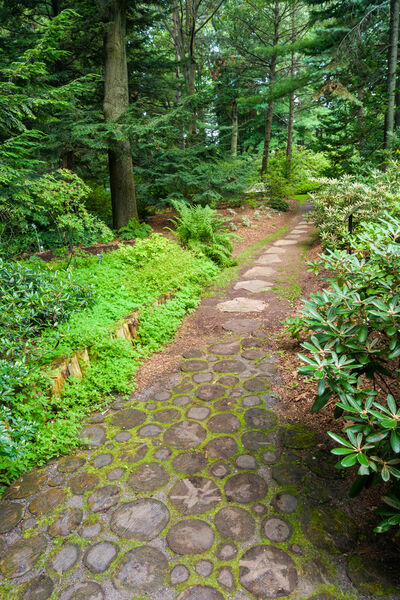 Path in the Montreal botanical gardens