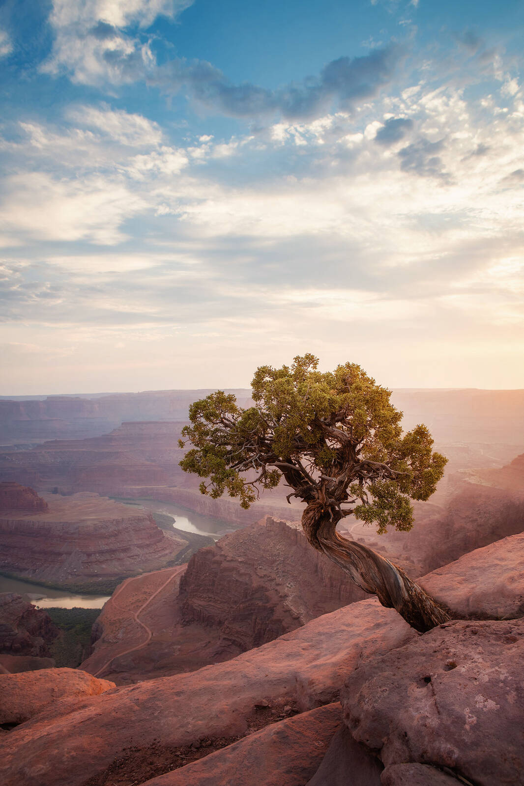 Image of Dead Horse Point by Ryan Smith