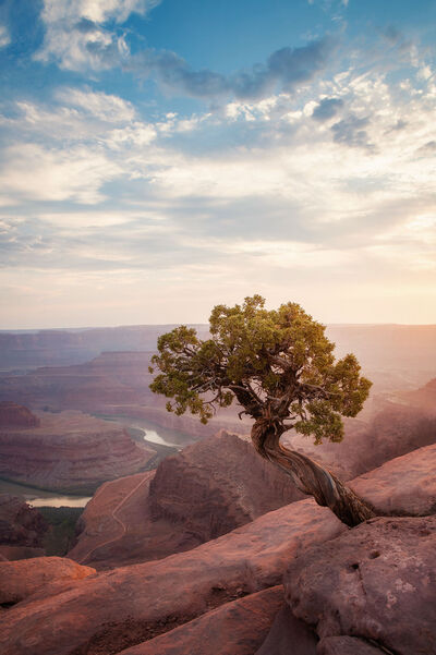Picture of Dead Horse Point - Dead Horse Point