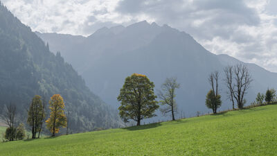 Zell Am See photography spots - Backlit Trees and Schwarzkopf Views