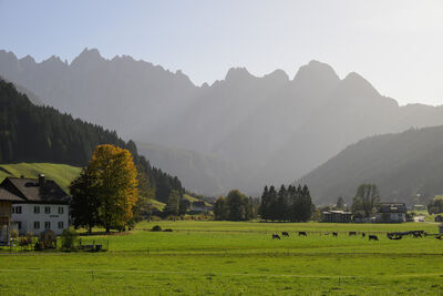 images of Austria - Gosau Views