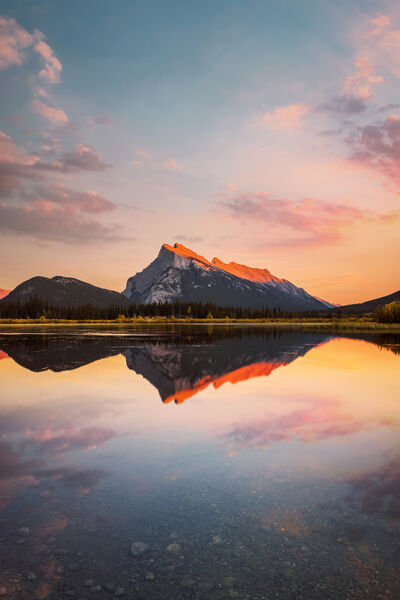 Image of Mt. Rundle from Vermilion Lakes - Mt. Rundle from Vermilion Lakes