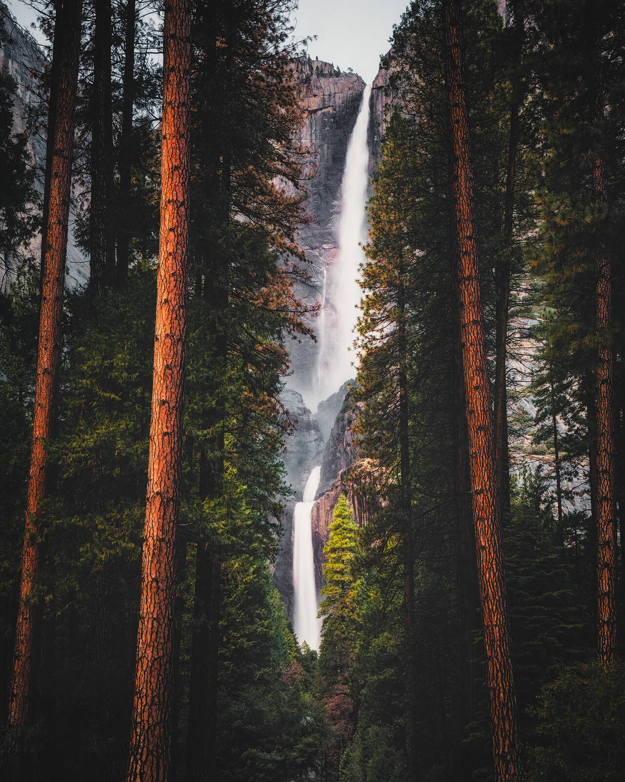 Image of Lower Yosemite Falls Trail by Ryan Smith