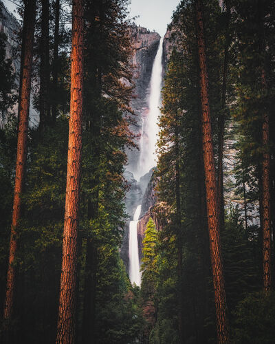 Photo of Lower Yosemite Falls Trail - Lower Yosemite Falls Trail