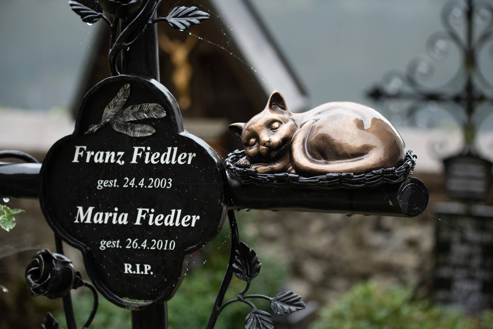 Image of Hallstatt Cemetery by Luka Esenko