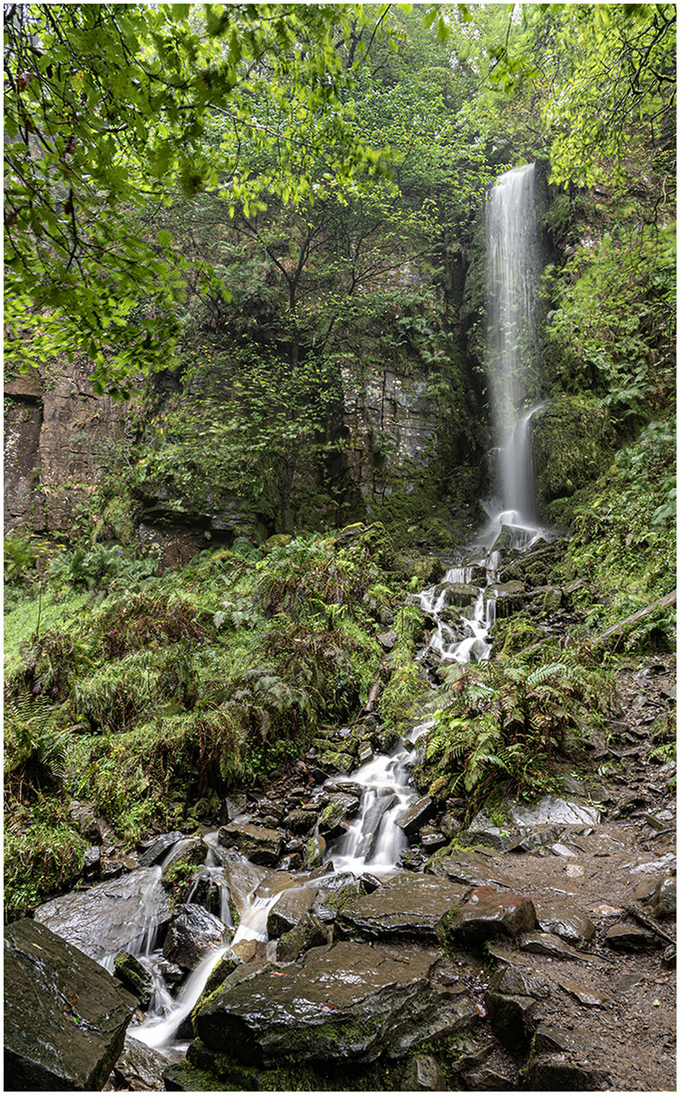 Image of Melincourt Falls by Chris Gledhill