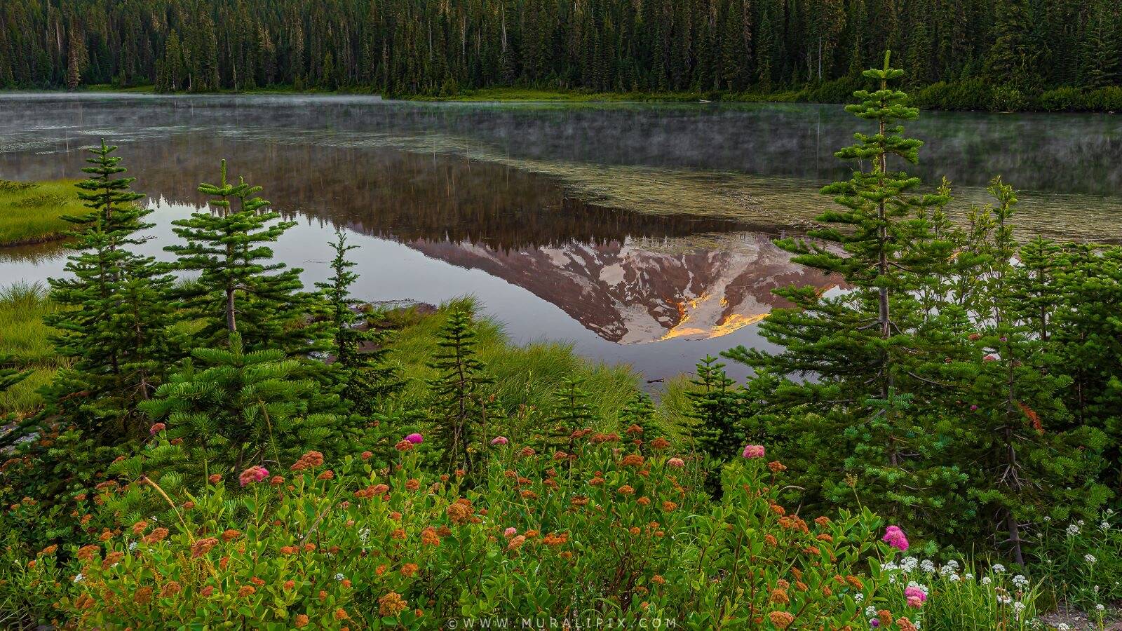 Image of Reflection Lakes, Mount Rainier National Park by Murali Narayanan