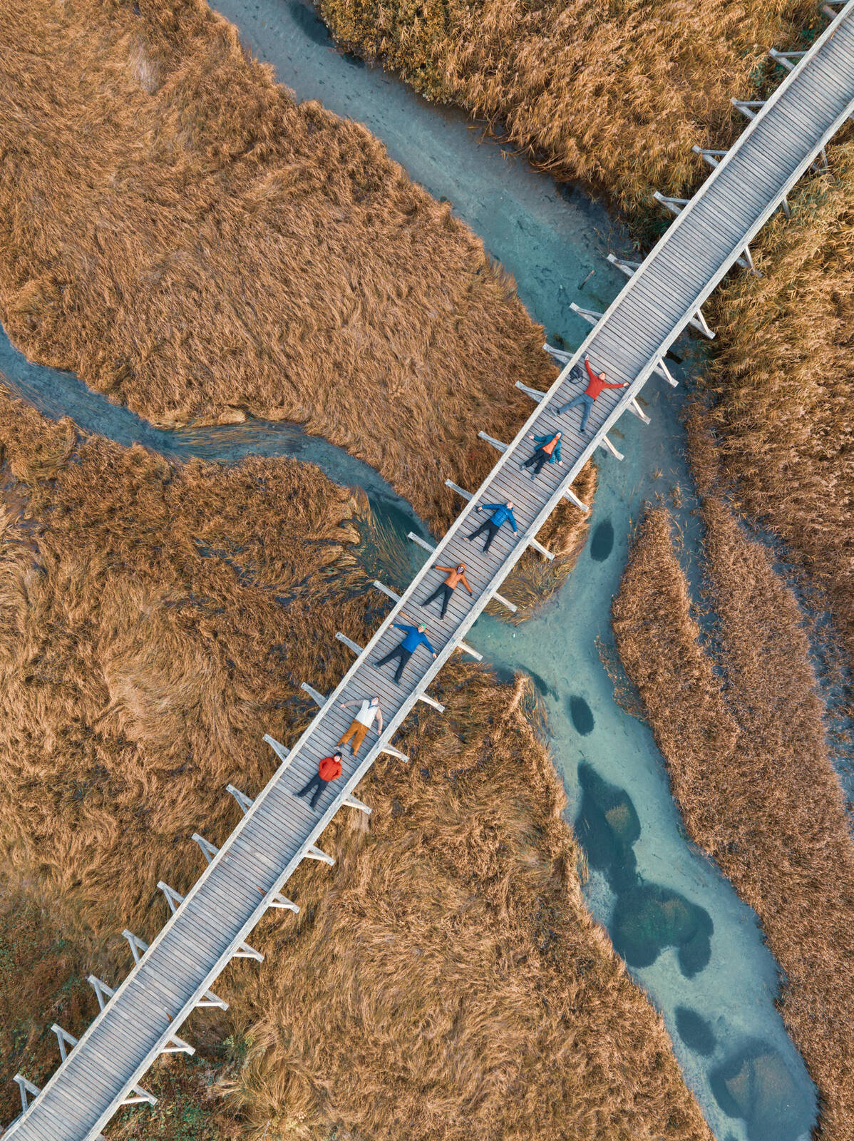 Image of Zelenci Springs from the Bridge by Luka Esenko