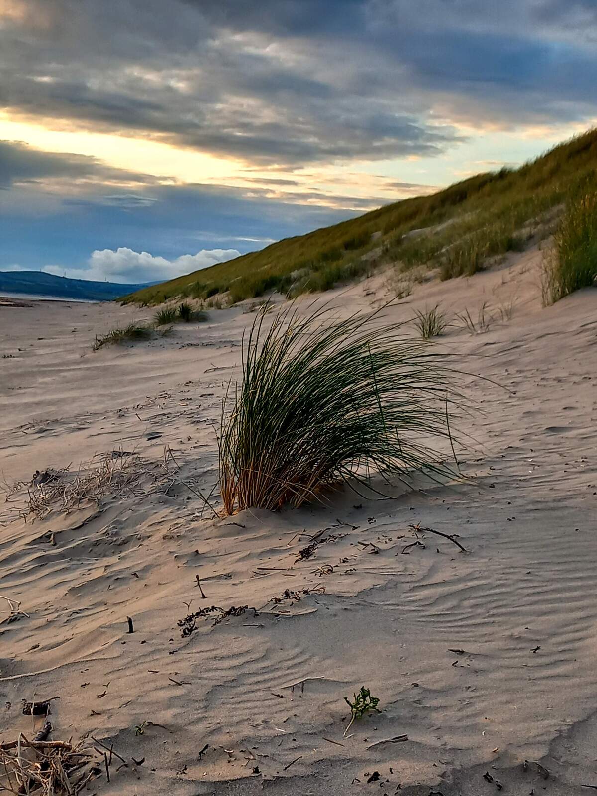 Image of Dunes of Harlech by Philip Eptlett