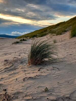 Towards the middle of Harlech beach, just catching the last evening sun.