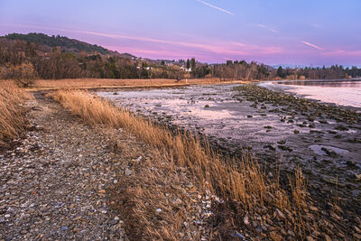 Coast along the meadow at blue hour